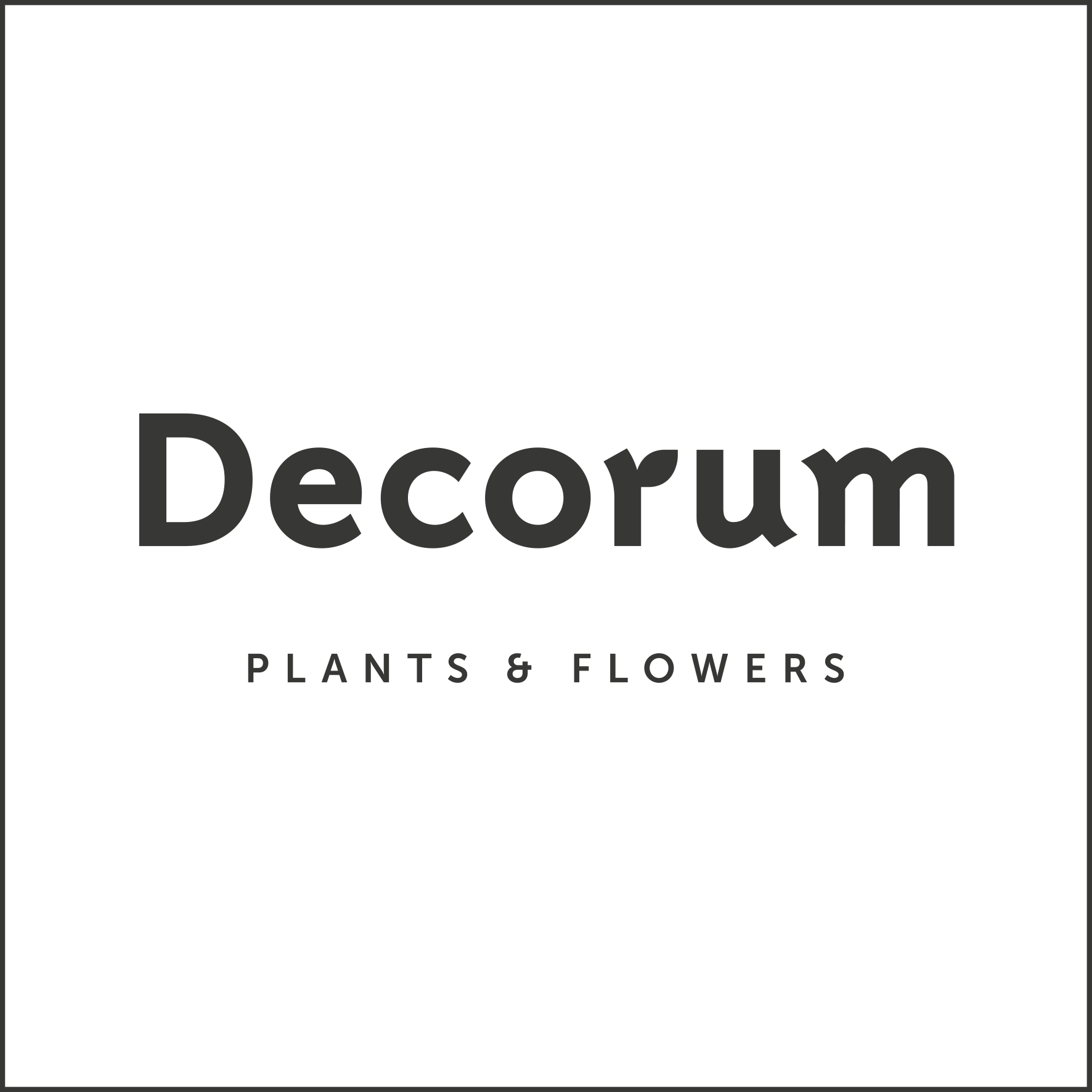 (c) Decorumplantsflowers.com