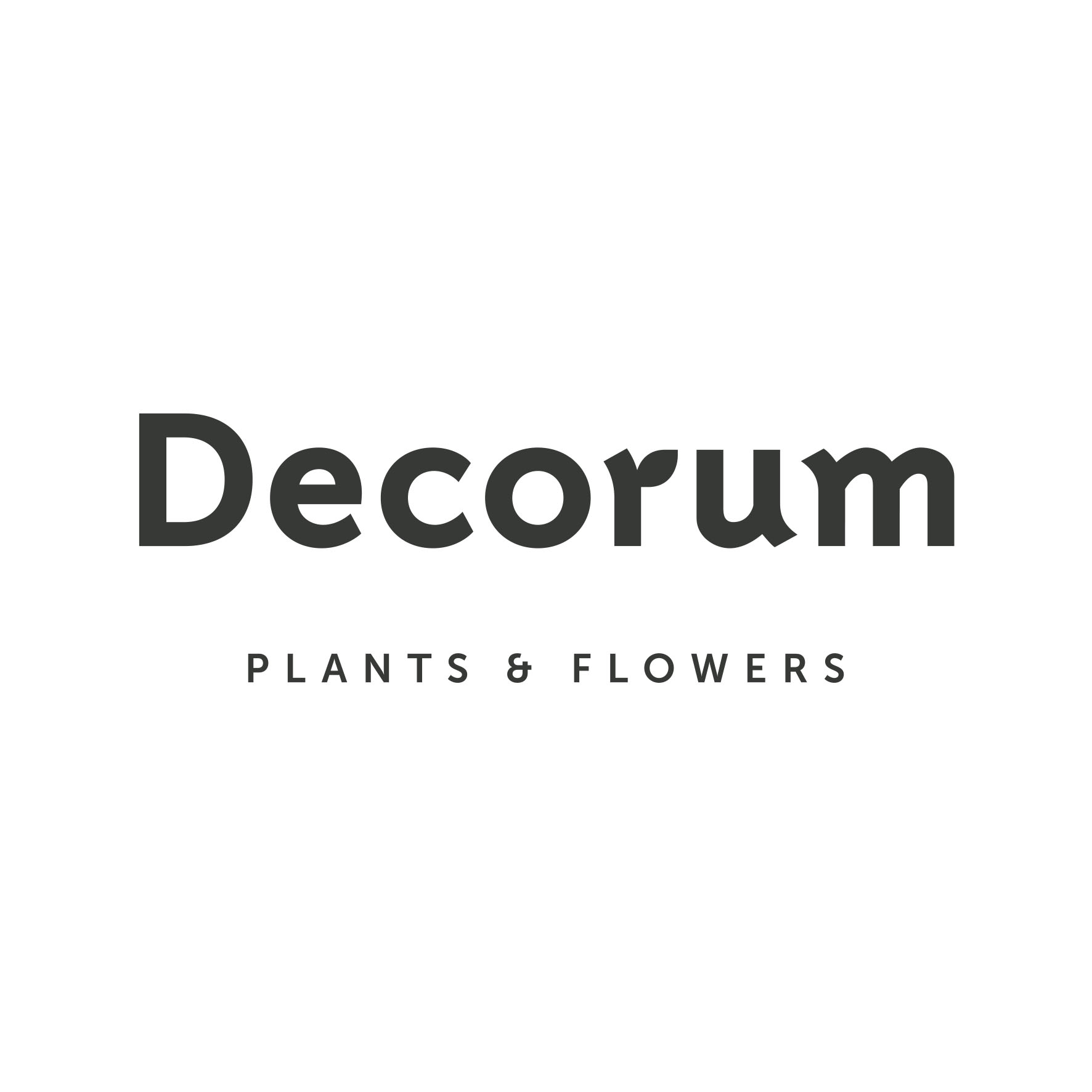 Decorum merk