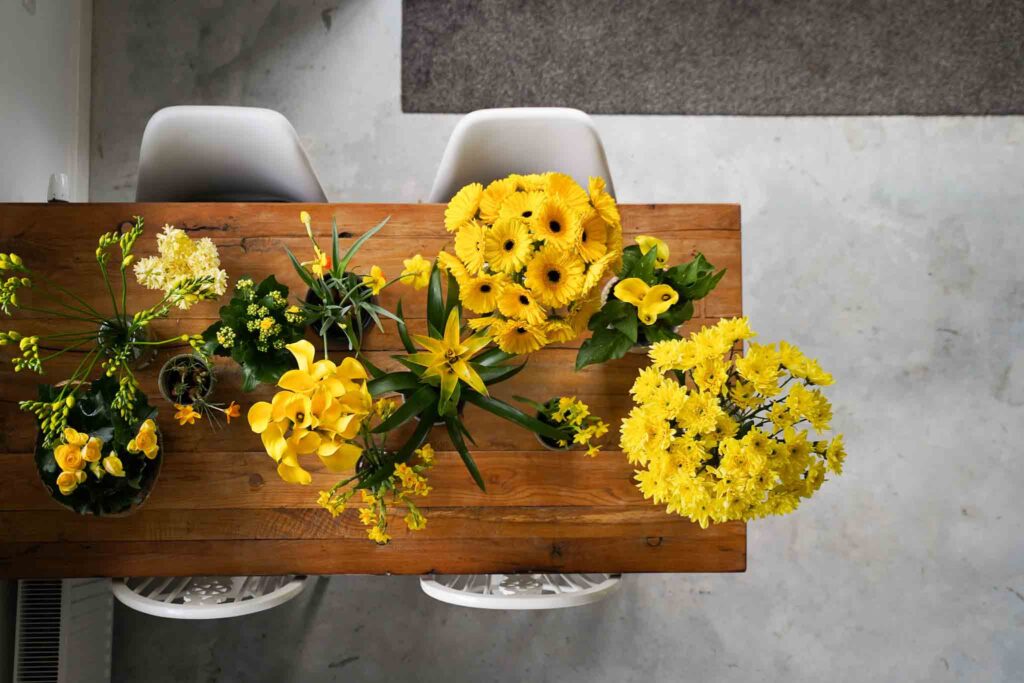 Gele bloemen en planten Decorum