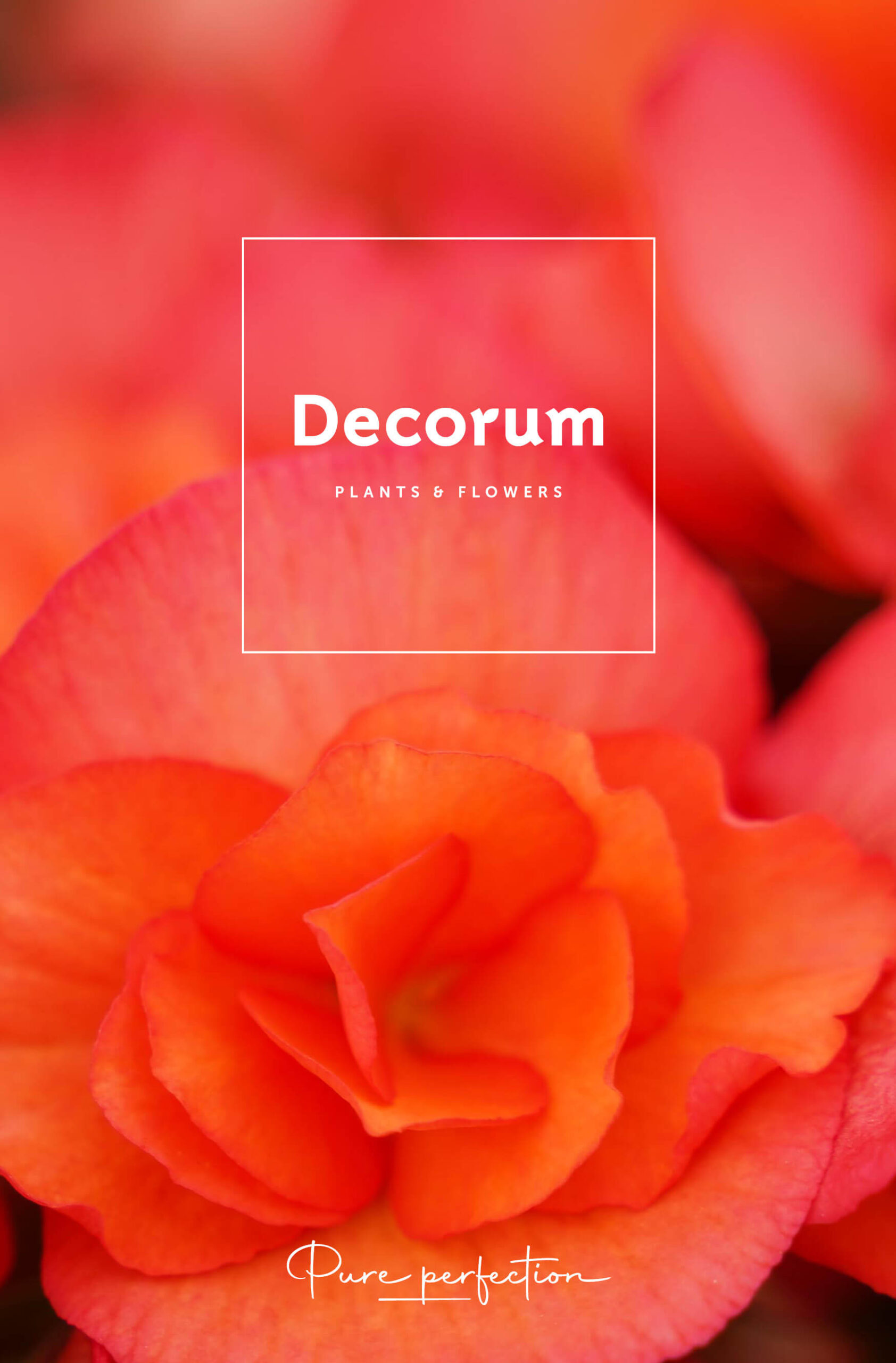 Decorum Spring Fair