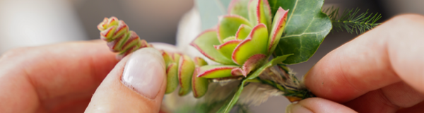 Zelf corsages maken met vetplanten en groen voor bruiloft