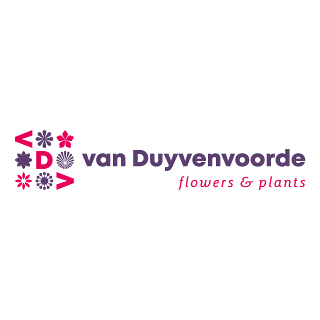 BJ Duyvenvoorde Logo
