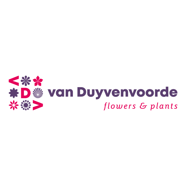 BJ van Duyvenvoorde logo