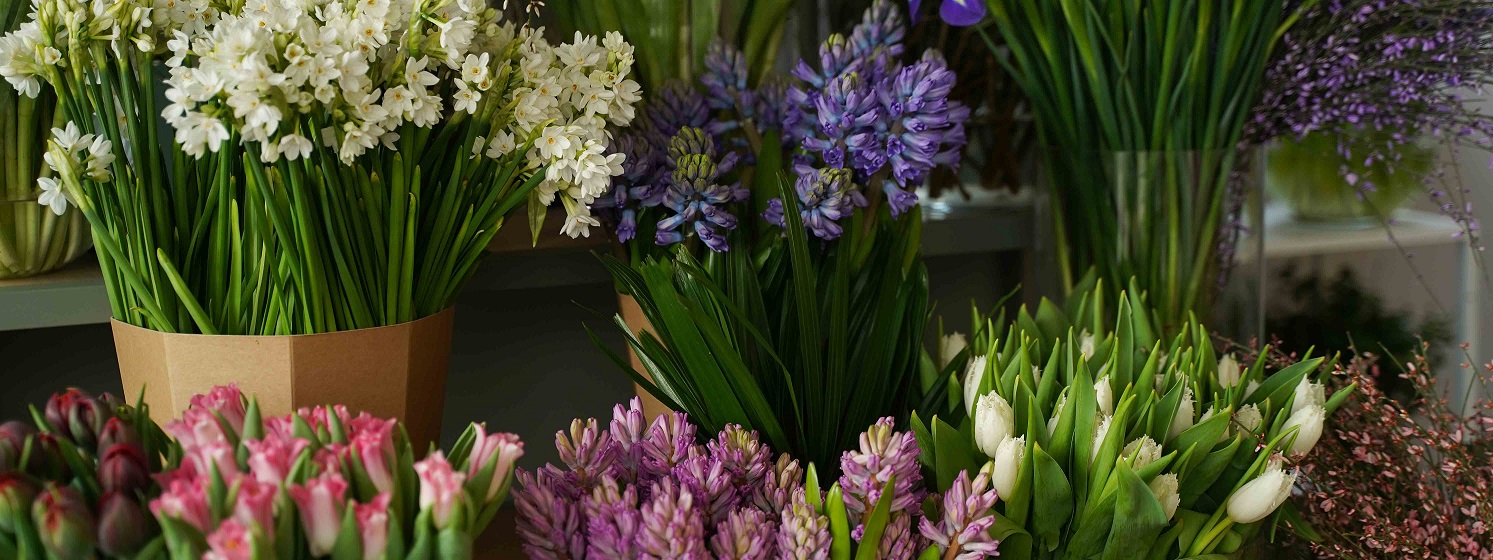 Verzameling Decorum voorjaarsbloemen