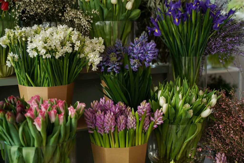 Voorjaarsbloemen Iris, Hyacint, Tulpen en Narcissen