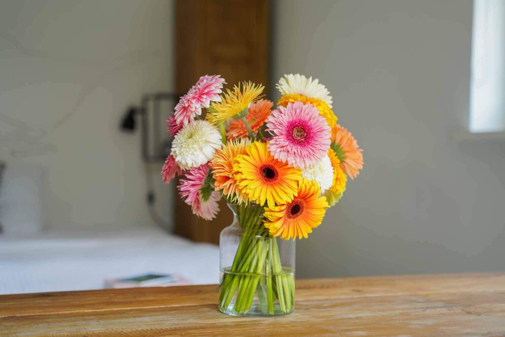 Gekleurd Gerbera boeket in een vaas