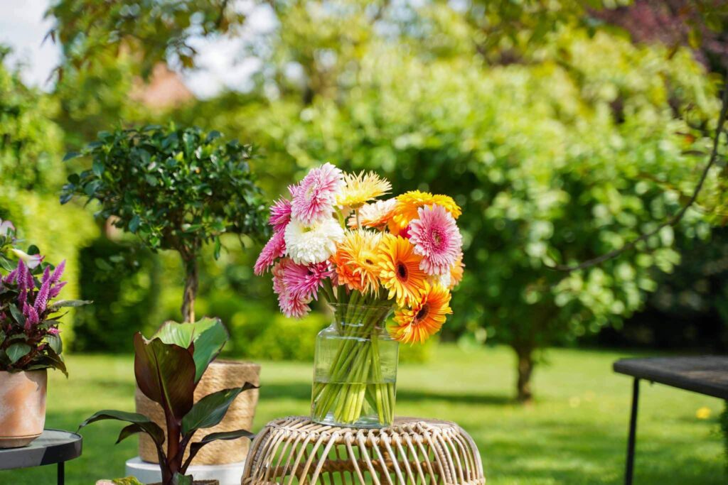 Gerbera's in een vaas