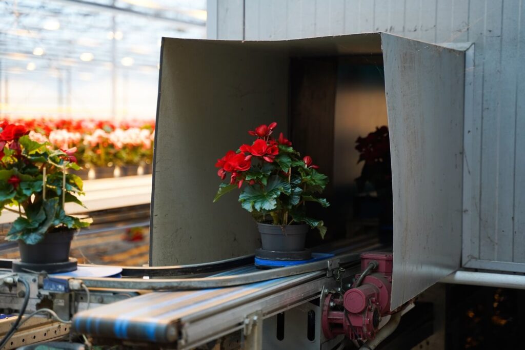 Automatische kwaliteitscontrole met camera bij planten