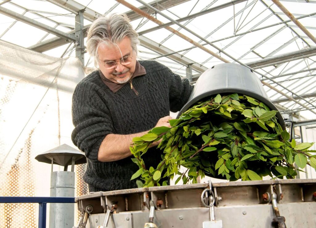 Duurzamheid in de tuinbouw, hergebruik restmaterialen van Laurier