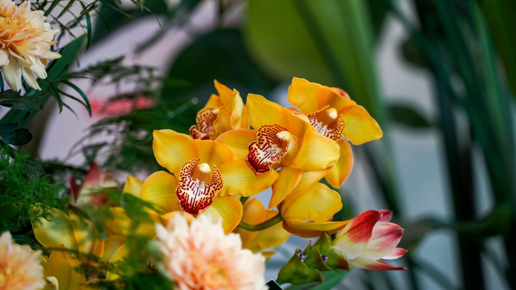 Bloemen en planten van Decorum op de The Fashionweek in Den Haag