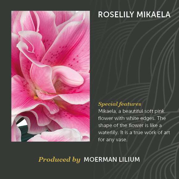 Roselily Mikaela
