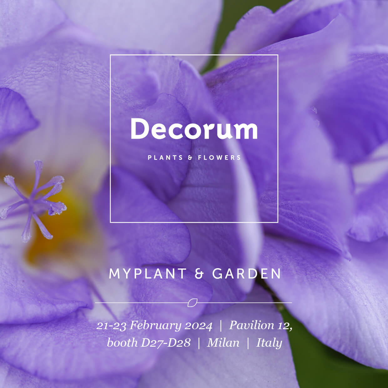 Uitnodiging Decorum Myplant & Garden 2024
