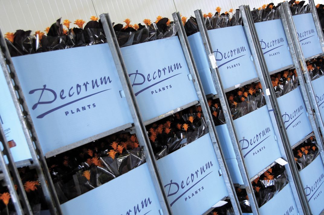 Decorum: 25 years of top-quality plants and flowers!