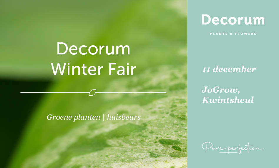 Decorum Winter Fair