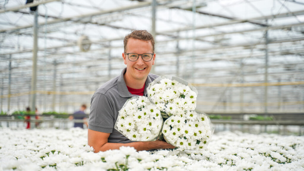 Chrysant Kennedy Cream