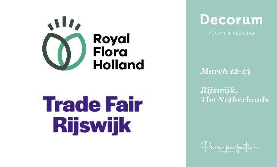 RFH Trade Fair Rijswijk 2025