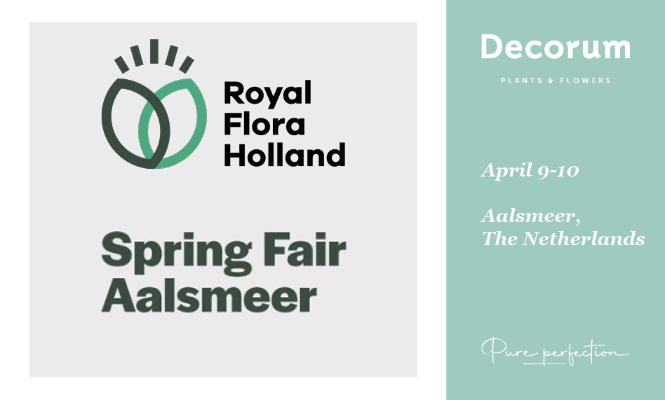 Spring Fair Aalsmeer 2025