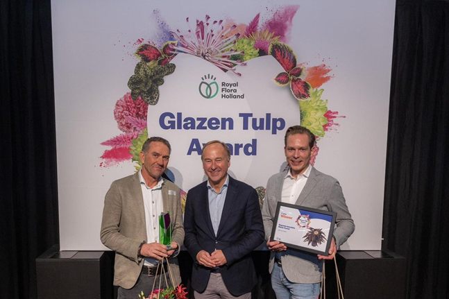 J&P ten Have Glazen tulp