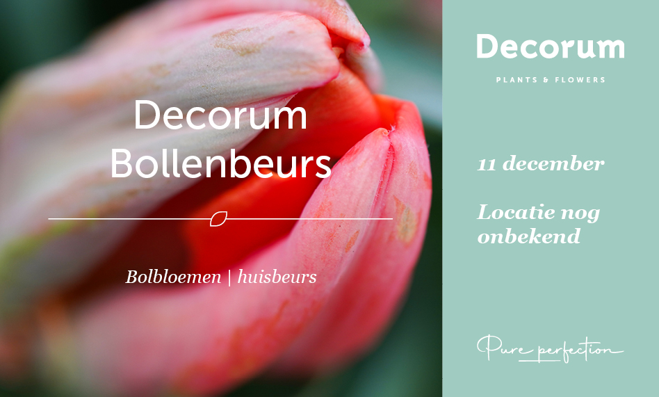 Decorum Bollenbeurs