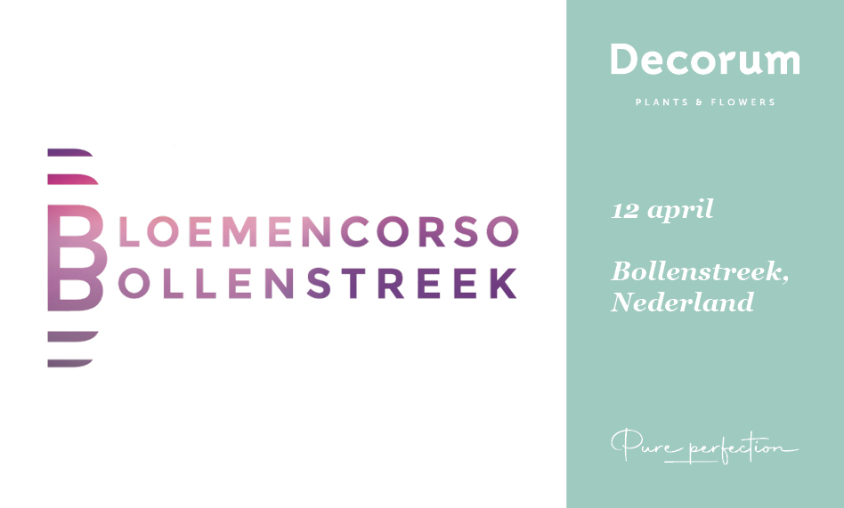 Corso Bollenstreek 2025