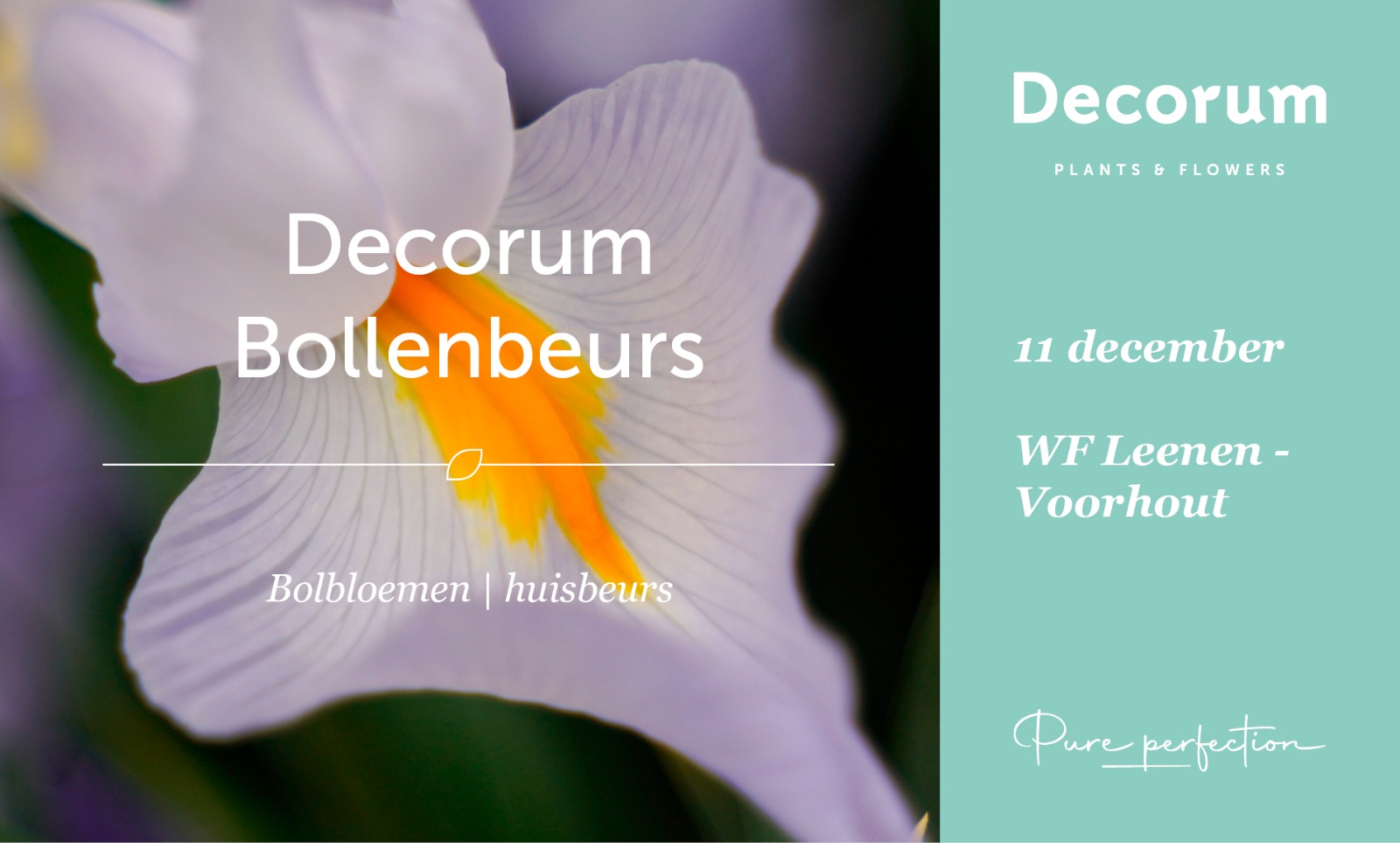 Decorum Bollenbeurs 2025