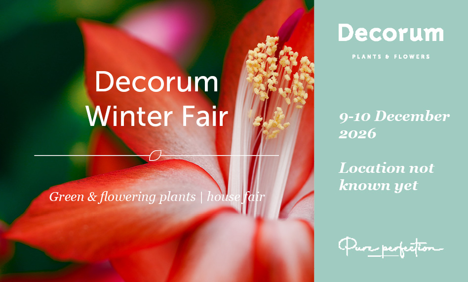 Decorum Winter Fair 2026