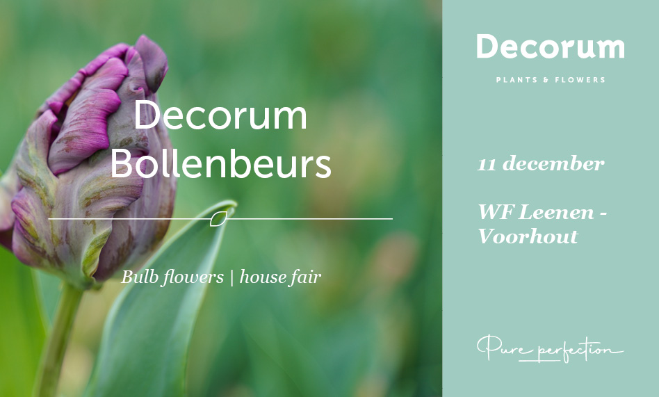 Decorum bollenbeurs 2026