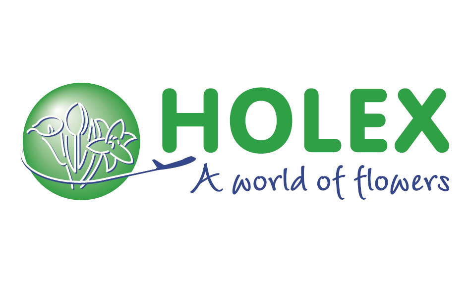 Holex Flower logo