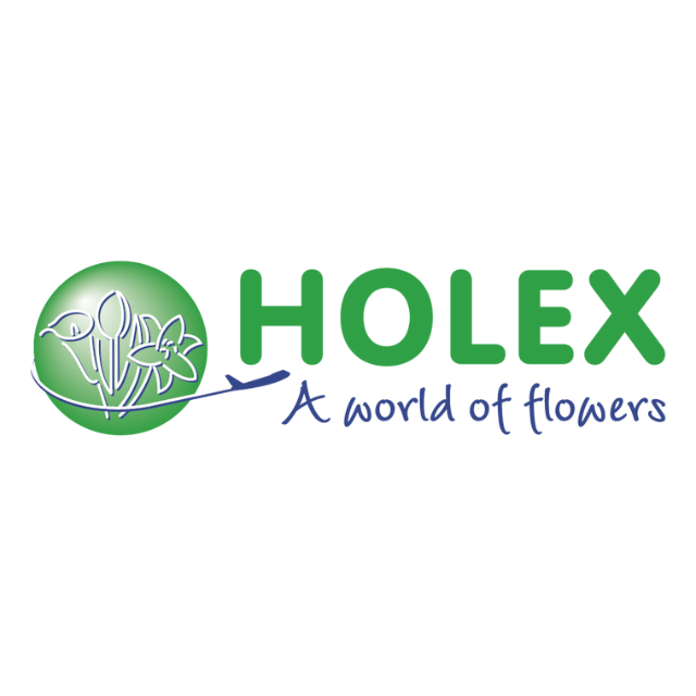 Holex Logo