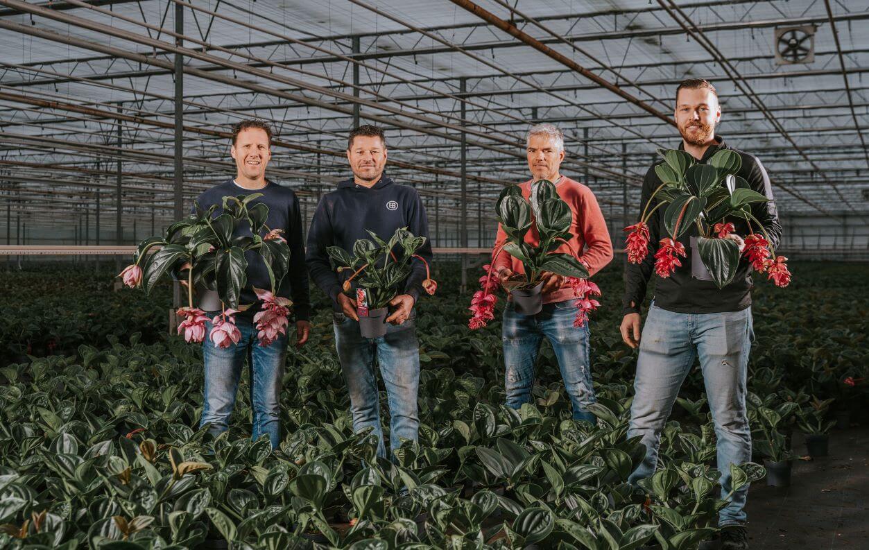 Kwekerij Laguna sluit aan bij Decorum