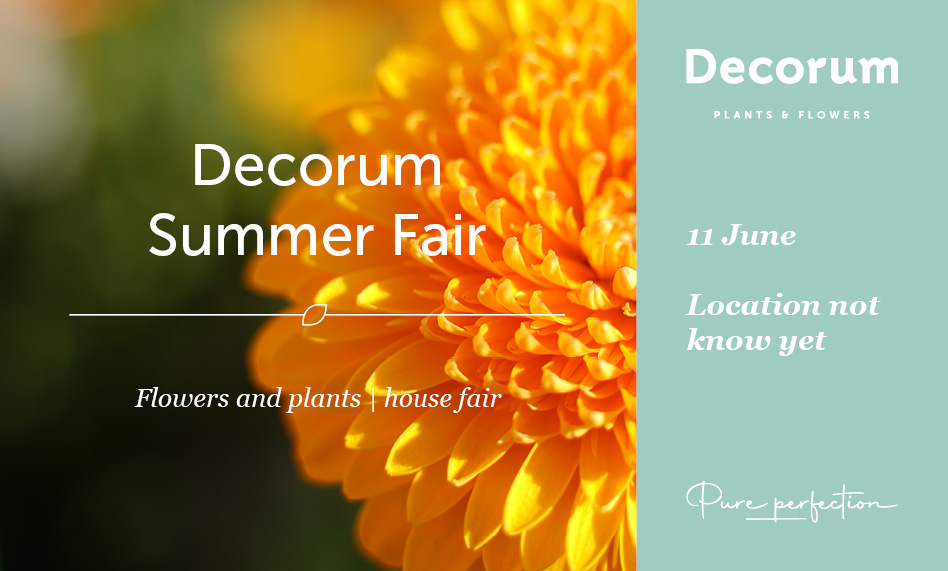 Decorum Summer Fair 2025