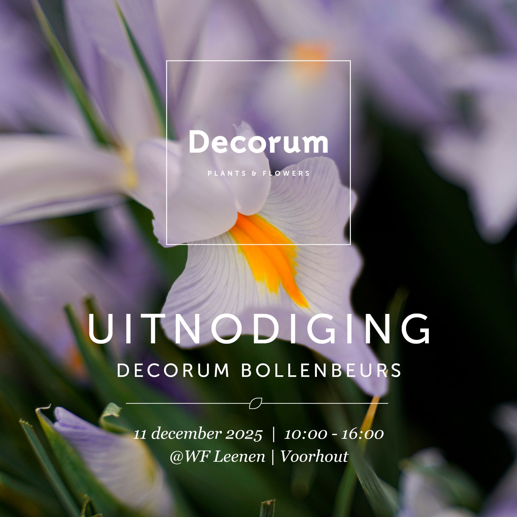 Uitnodiging Decorum Bollenbeurs 2025