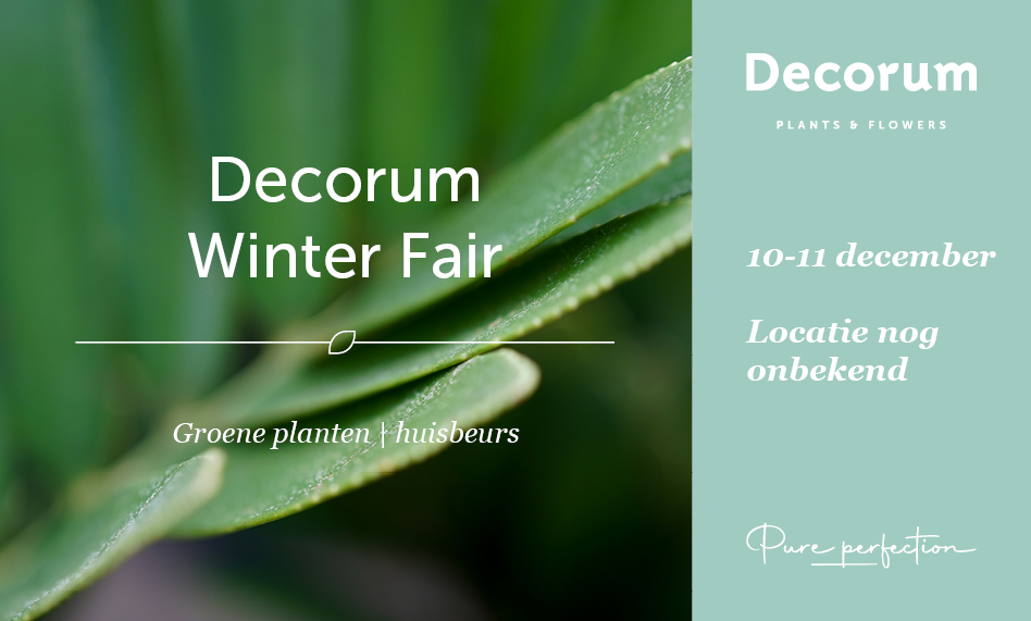 Decorum Winter Fair 2025