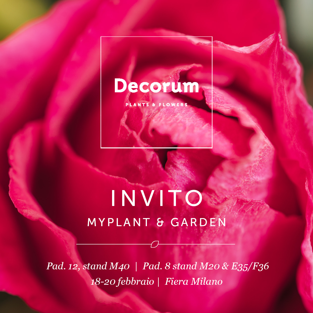 Decorum - Myplant & Garden