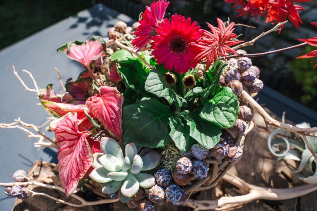 Claudia Tararache World Cup Floral Art
