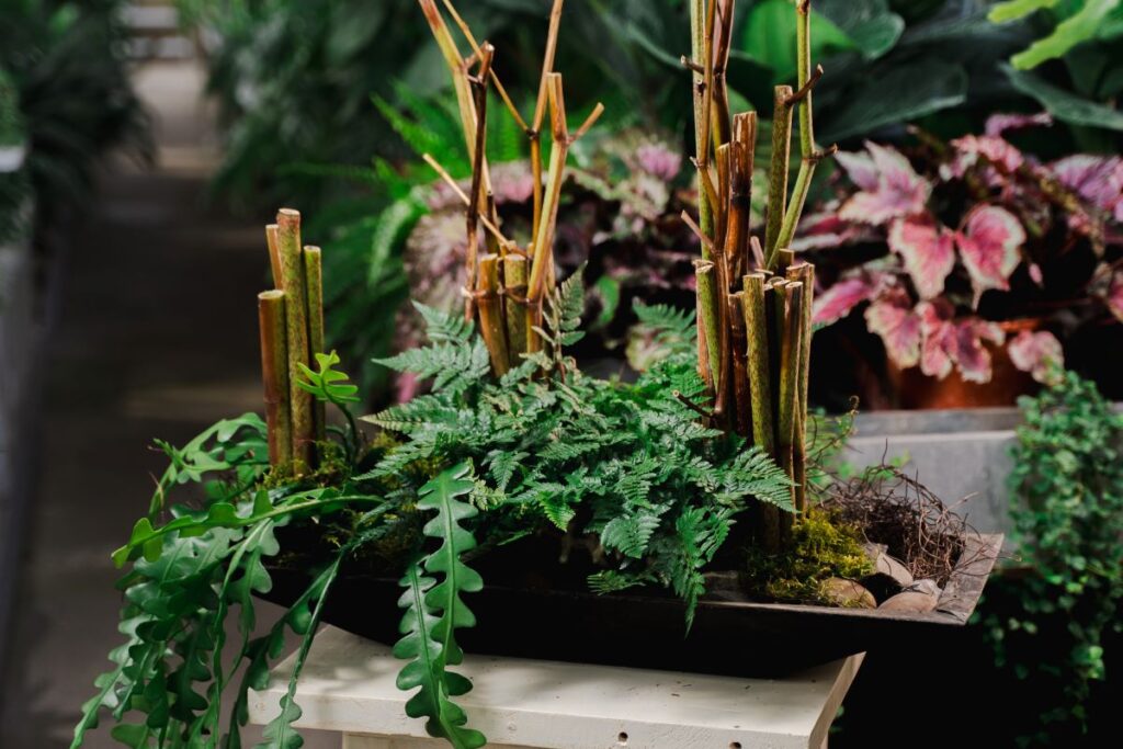 Rudy Casati hangplanten