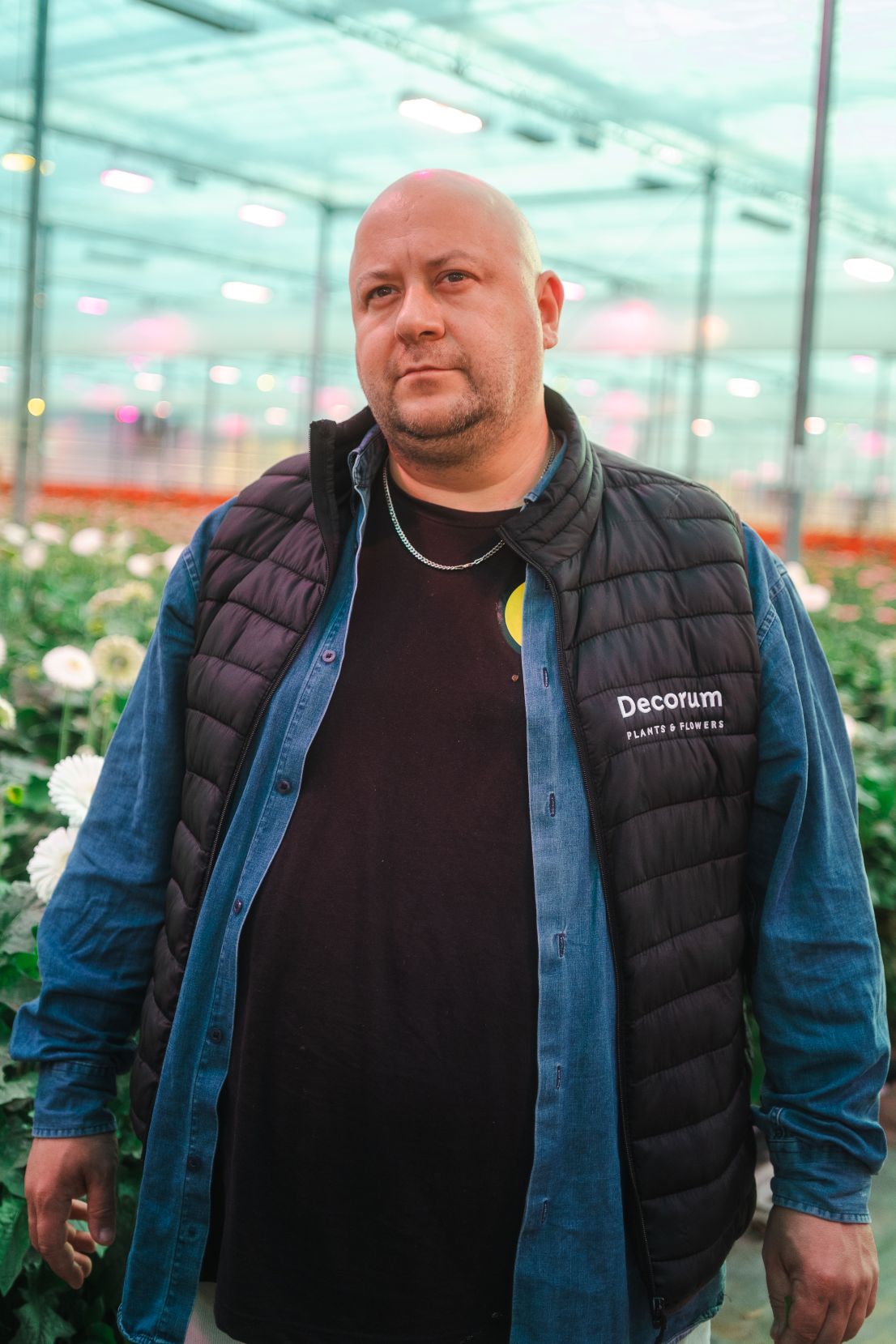 Decorum ambassador Flexyno (Ionut Carjan)