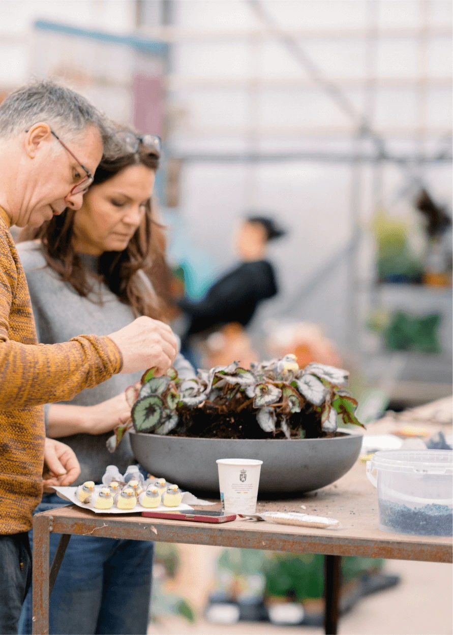 EMC Fundementals Course