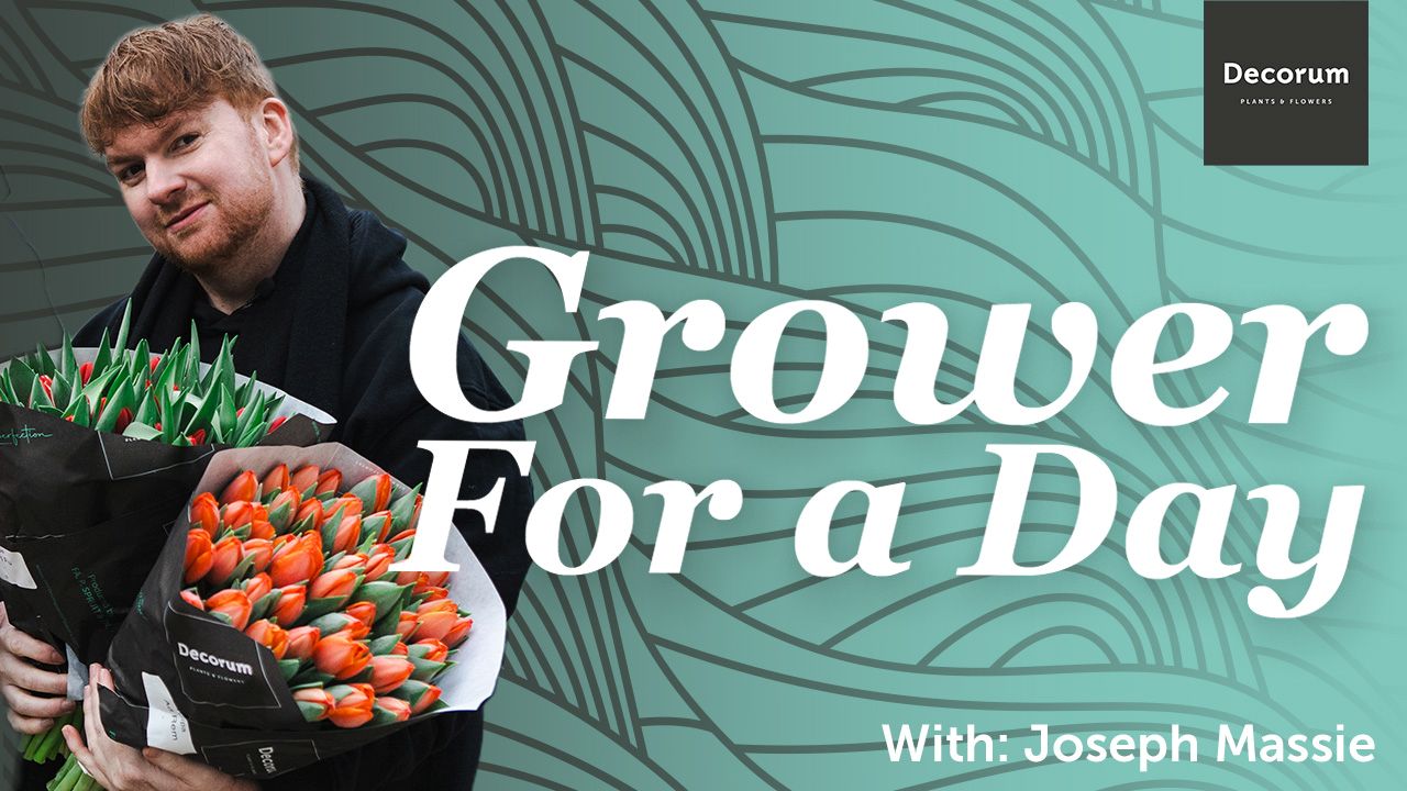 Grower for a Day - Joseph Massie