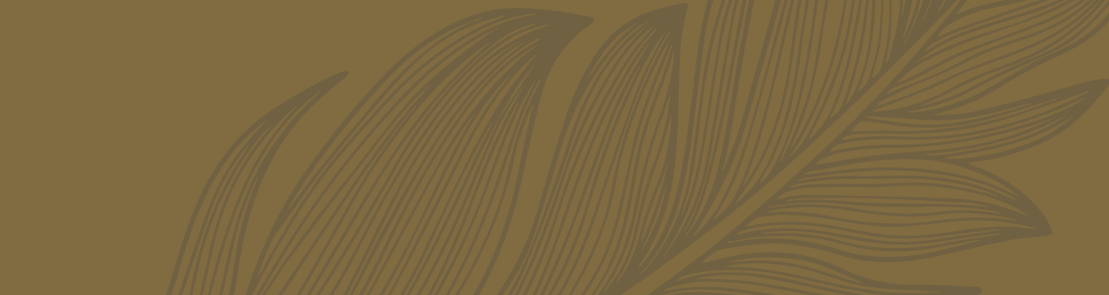 Decorum Only nowhere else on earth