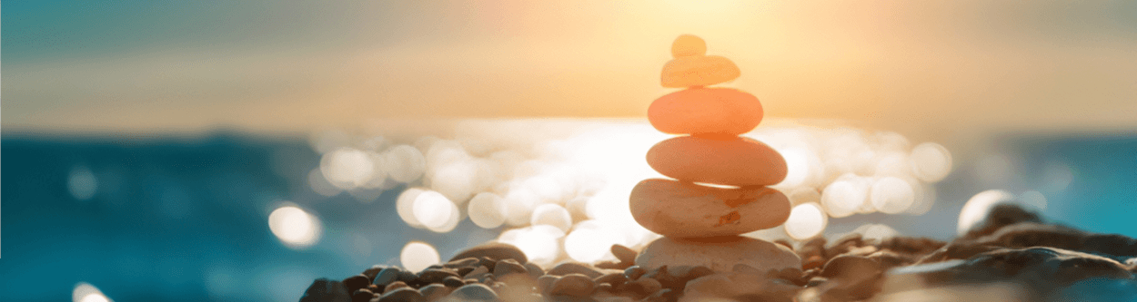 Green & Easy - easy to care for plants