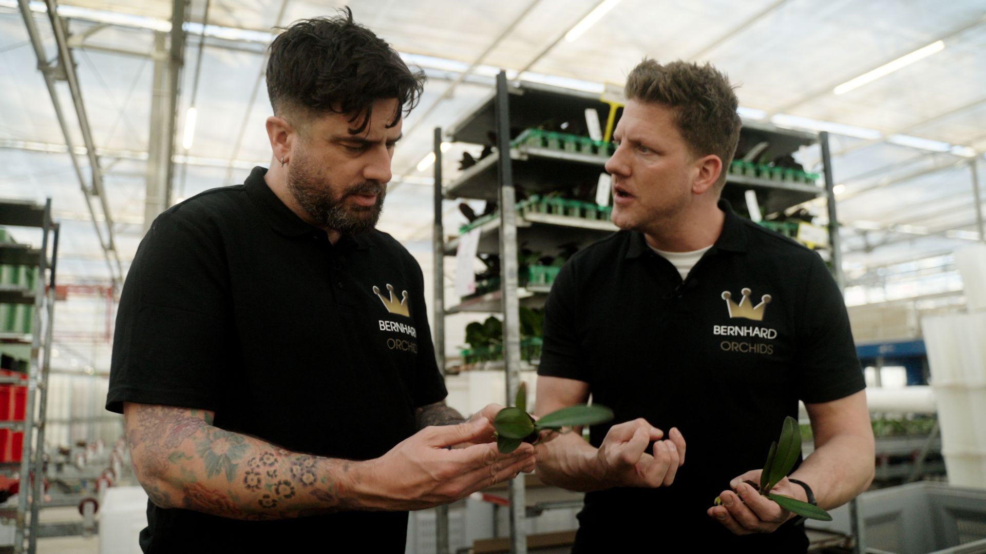 Michael Perry bij Bernhard Orchids voor Grower for a day