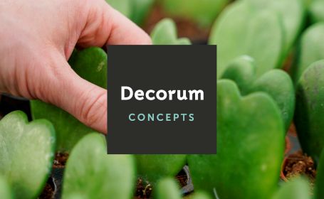 Decorum Concepts