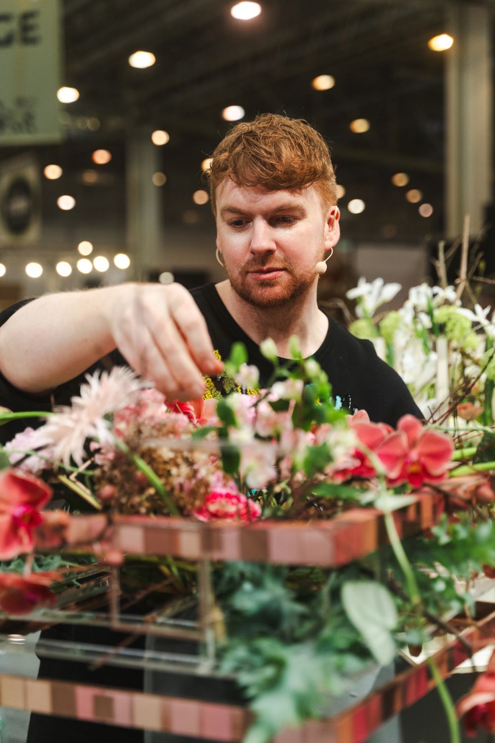 Joseph Massie Decorum Pure Perfection Passion show IPM-Essen