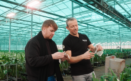 Joseph Massie bij Future Flowers