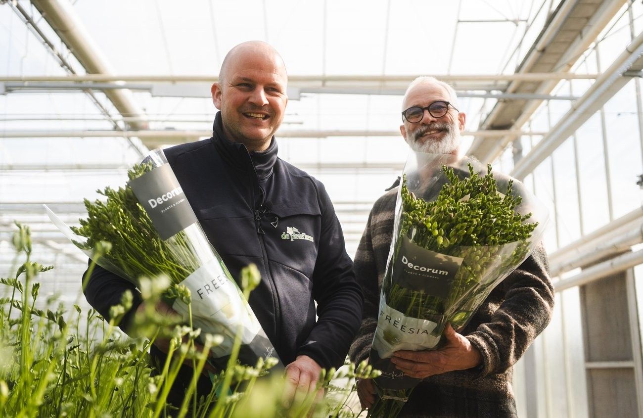 Klaus Wagener bij de Heufkens Freesia