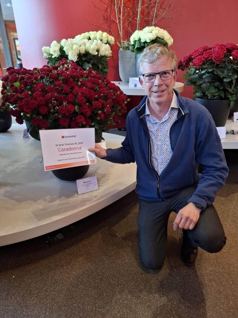 Van Seters Roses wint prijs Keukenhof
