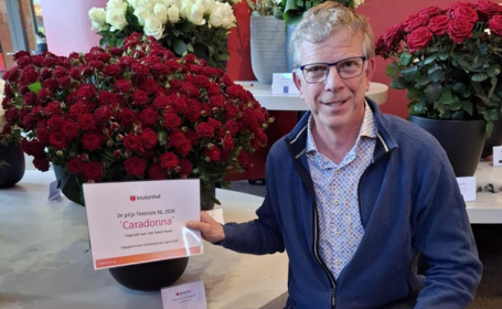 van Seters Roses Keukenhof