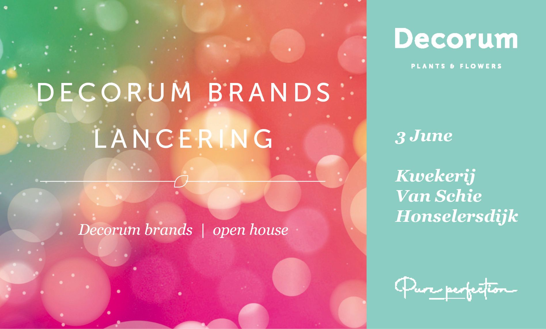 Decorum brands lancering