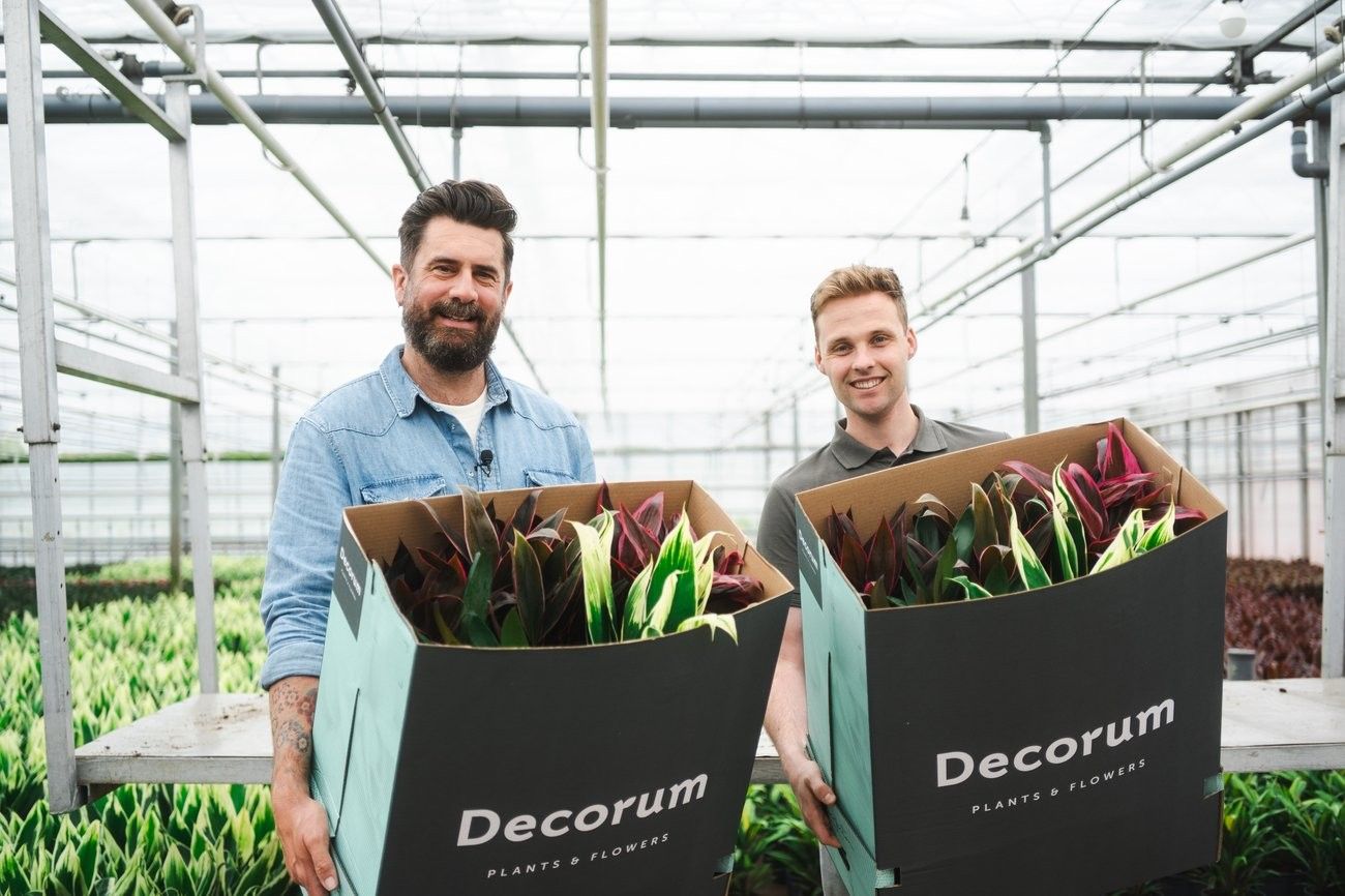 Michael Perry ontdekt de Cordyline